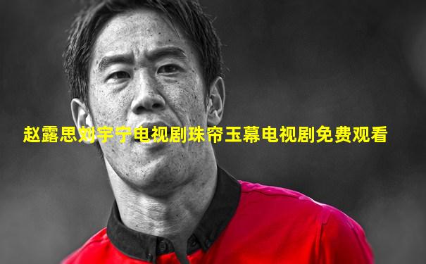 赵露思刘宇宁电视剧珠帘玉幕电视剧免费观看