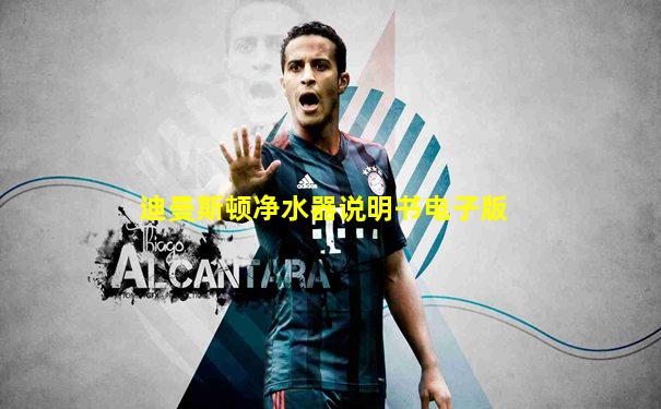 迪曼斯顿净水器说明书电子版