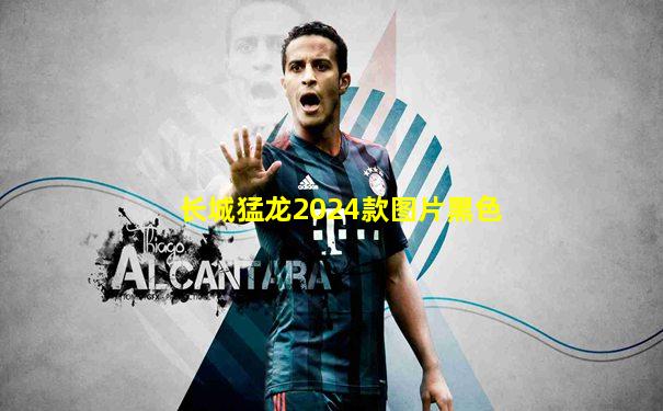 长城猛龙2024款图片黑色