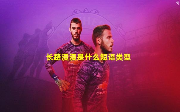 长路漫漫是什么短语类型