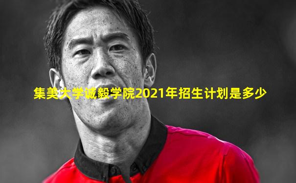 集美大学诚毅学院2021年招生计划是多少