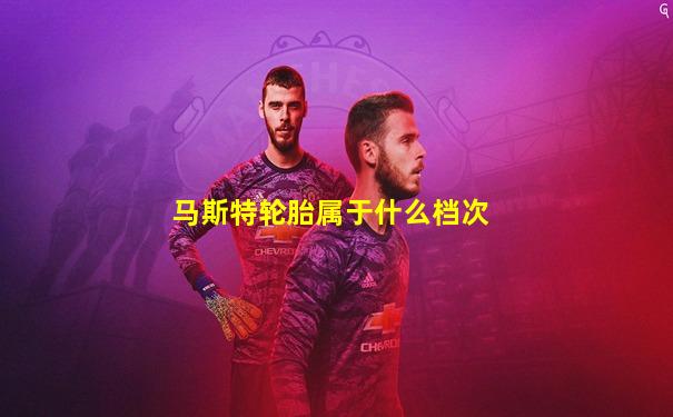 马斯特轮胎属于什么档次